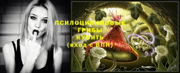 бошки Нягань